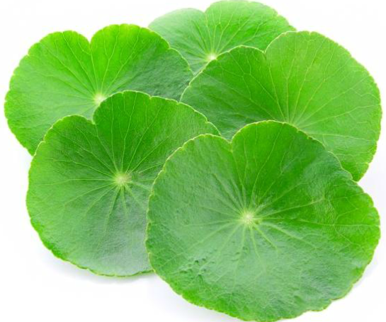 Snímek obrazovky 2026-03-09 105605